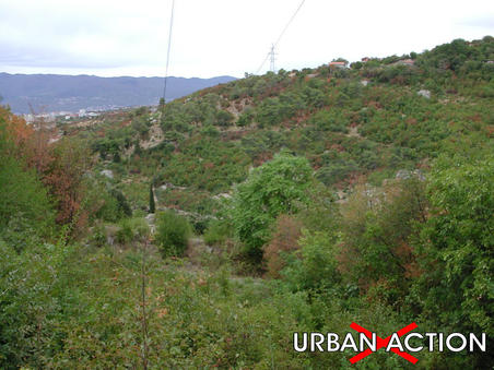 Slum u Mihaćevoj Dragi – prikaz